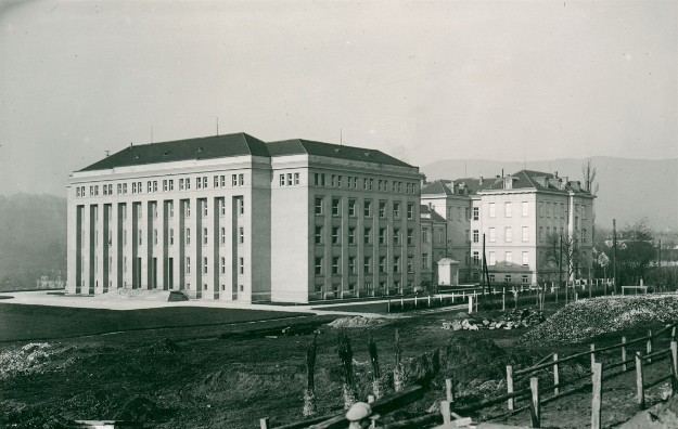 Higijenski zavod, Rockfellerove stube 1930. godine